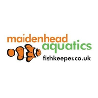 Maidenhead Aquatics logo