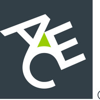Ace Insurance Services Group logo