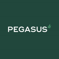 Pegasus Finance logo
