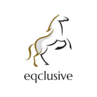 Eqclusive Ltd logo