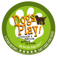 Dogs Play Daycare logo