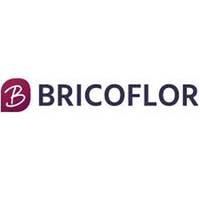 Bricoflor Ltd logo