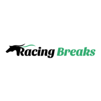 Racing Breaks  logo