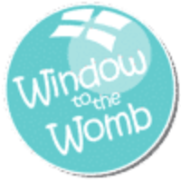 Window to Womb Norwich logo