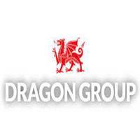Dragon Engineering Services Ltd logo