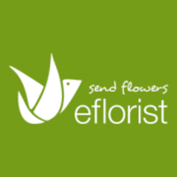 eFlorist Complaints Email & Phone | Resolver UK